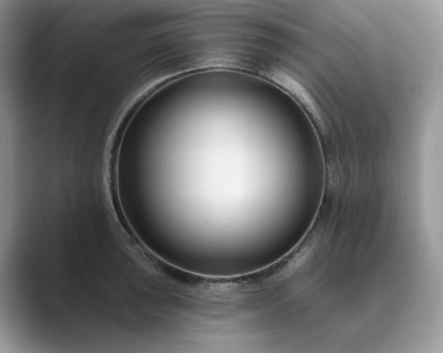 X0000089661043200707051526