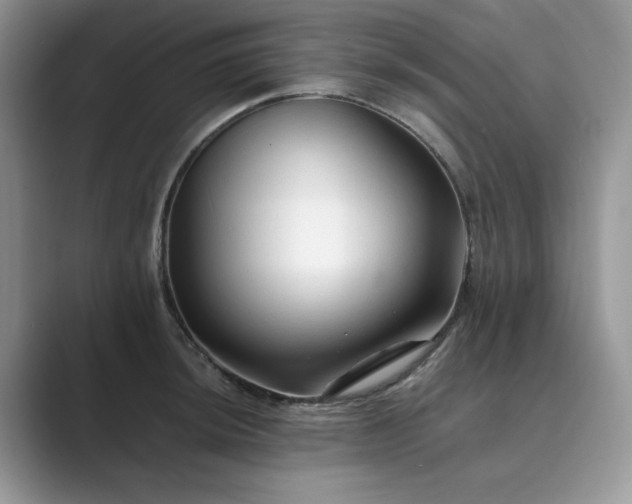 X0000089661044200707051526