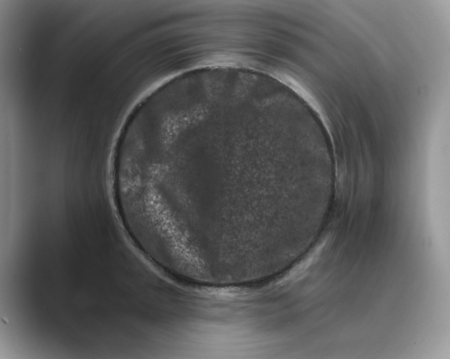 X0000089661045200707051526