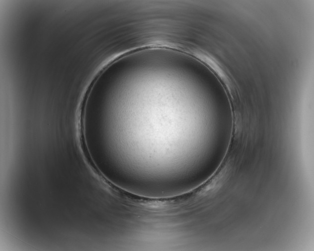 X0000089661048200707051526