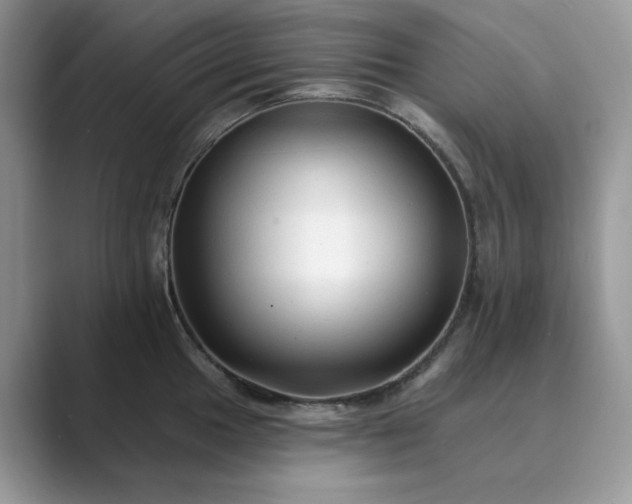 X0000089661049200707051526