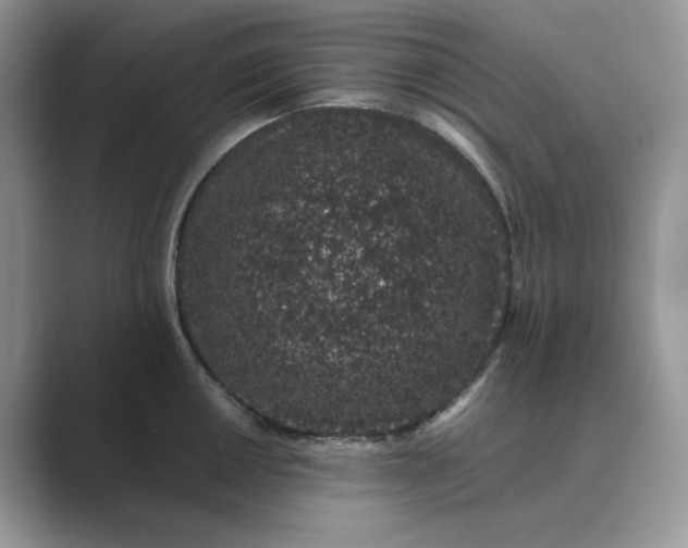 X0000089661050200707051526