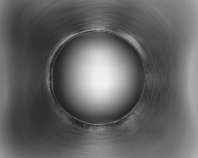 X0000089661051200707051526