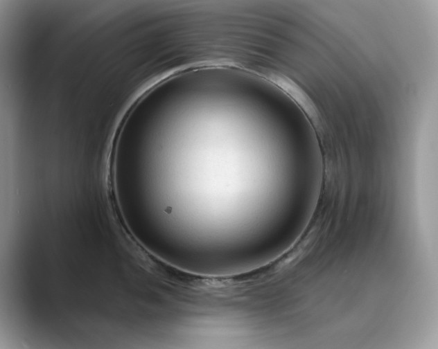 X0000089661052200707051526