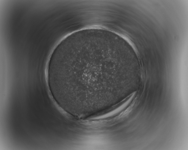 X0000089661054200707051526