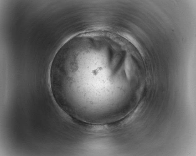 X0000089661055200707051526