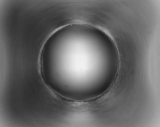 X0000089661056200707051526