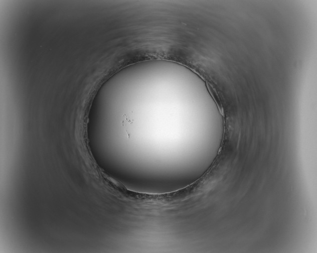 X0000089661057200707051525