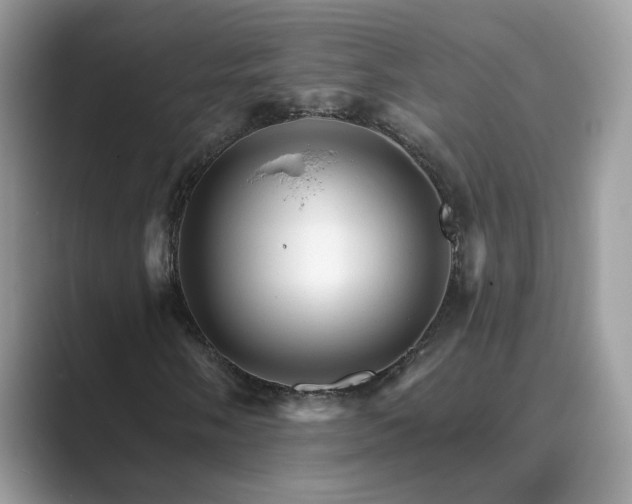 X0000089661058200707051525