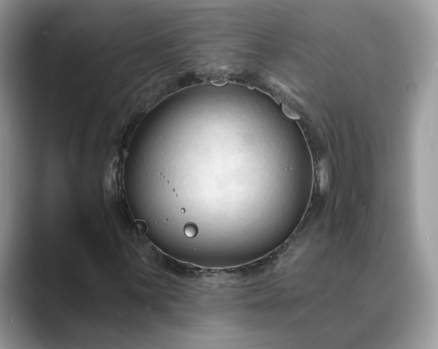 X0000089661059200707051525