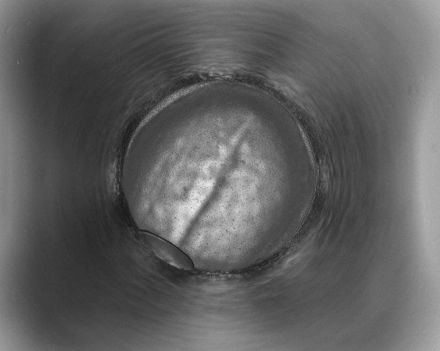 X0000089661060200707051525