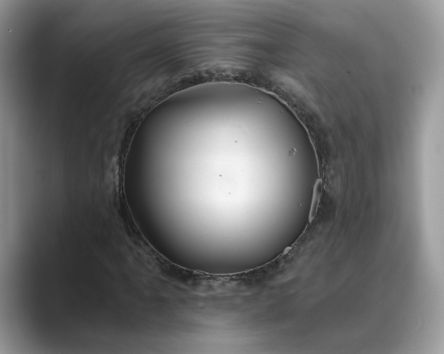 X0000089661061200707051525