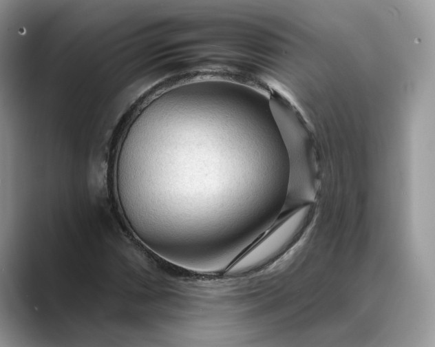 X0000089661066200707051525