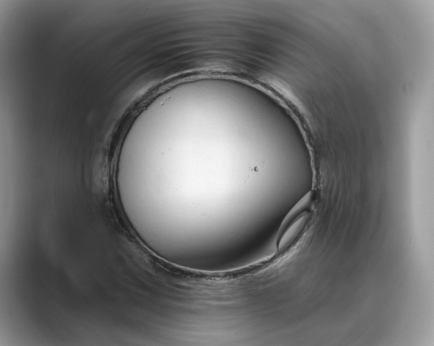 X0000089661067200707051525