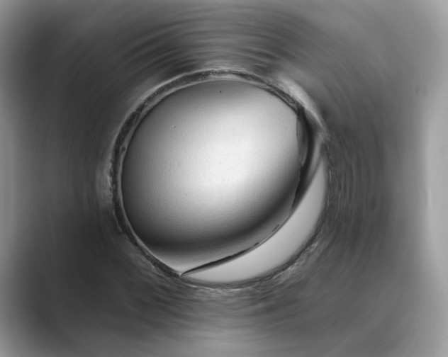 X0000089661068200707051525