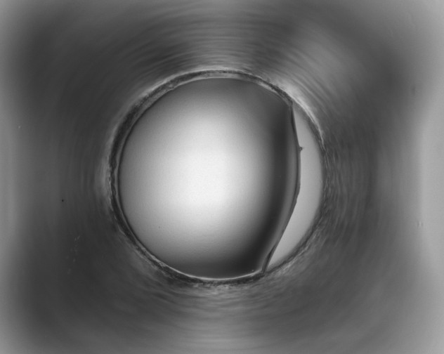 X0000089661072200707051525