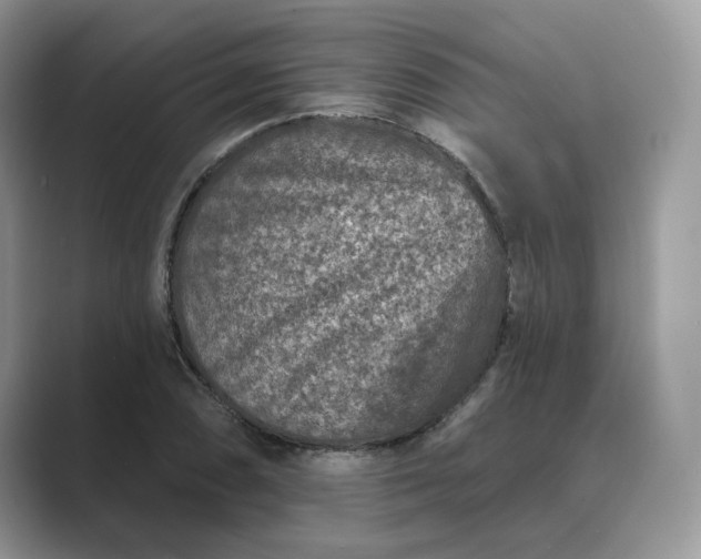 X0000089661074200707051525