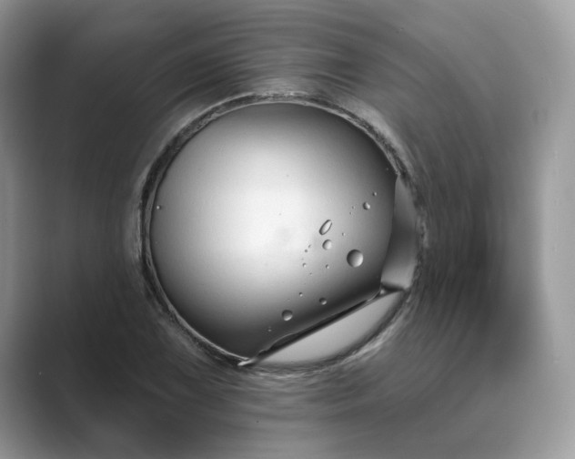 X0000089661075200707051525