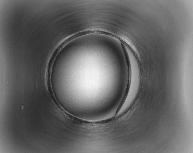 X0000089661076200707051525