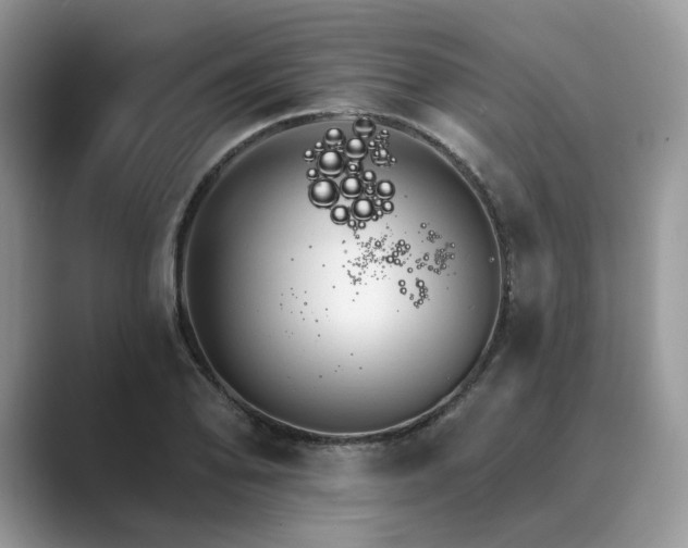 X0000089661078200707051525