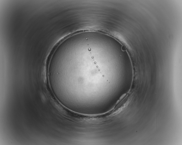 X0000089661079200707051525