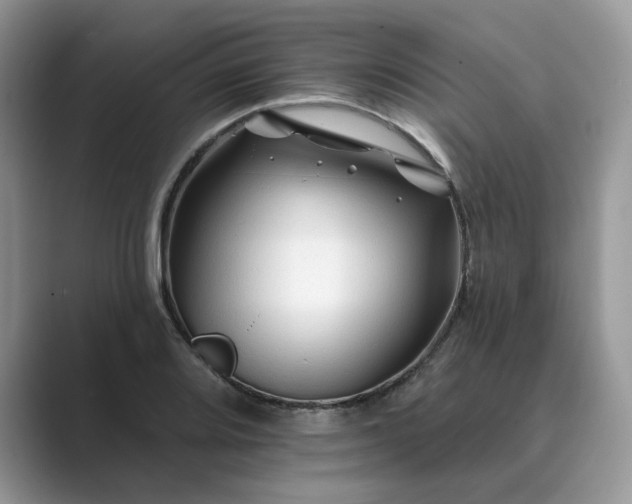 X0000089661080200707051525