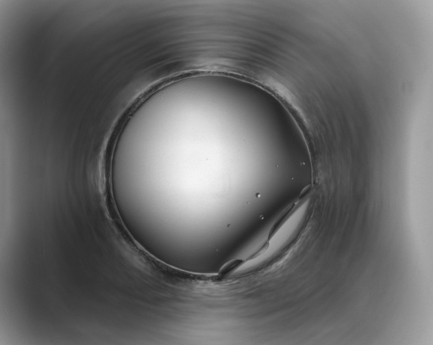 X0000089661082200707051525