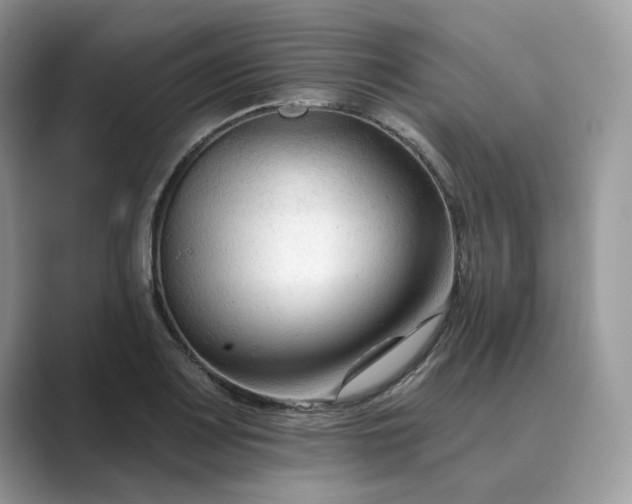 X0000089661083200707051525