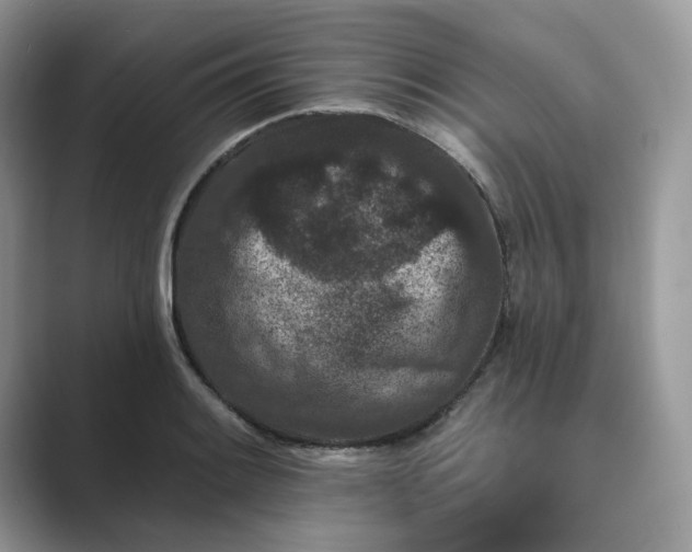 X0000089661084200707051525