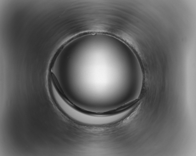 X0000089661085200707051525