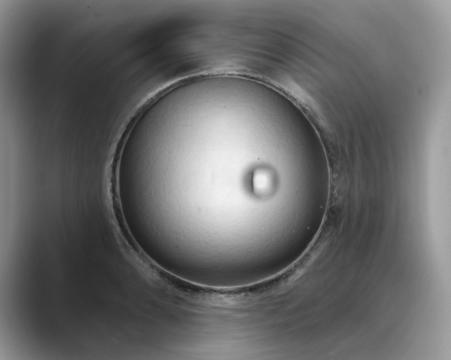 X0000089661086200707051525