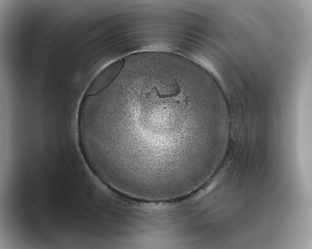 X0000089661087200707051525