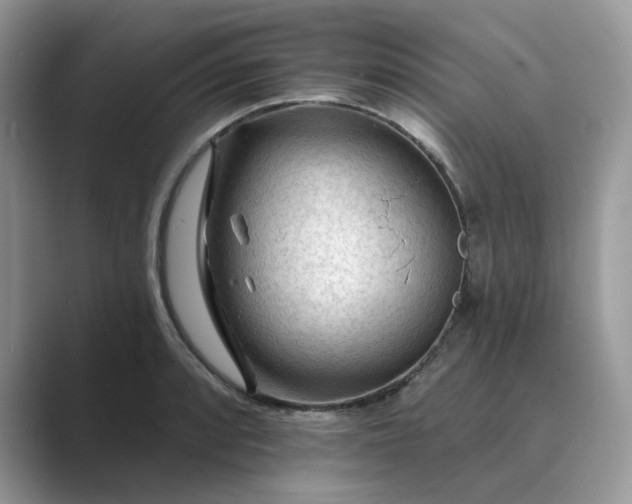 X0000089661088200707051525