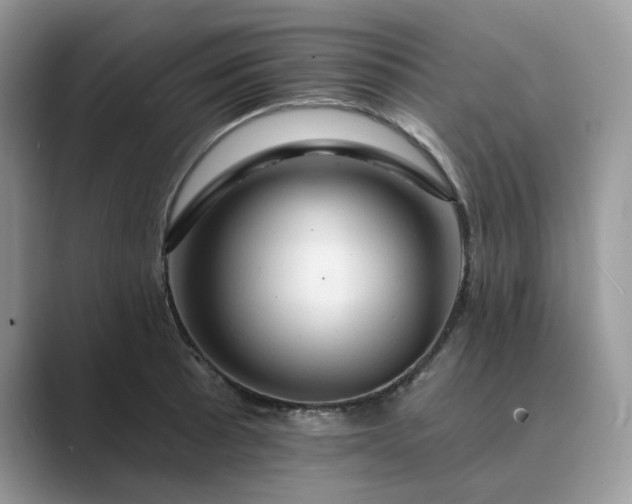 X0000089661089200707051525