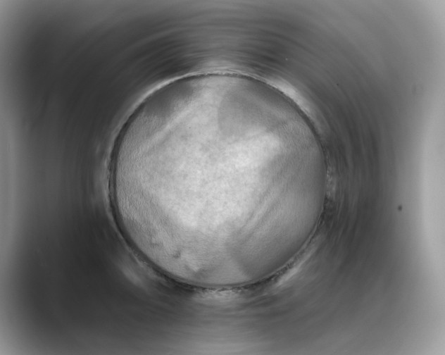 X0000089661094200707051525