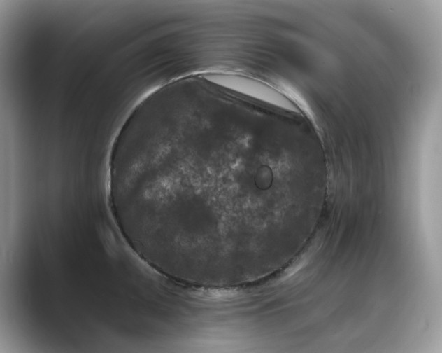 X0000089661095200707051525