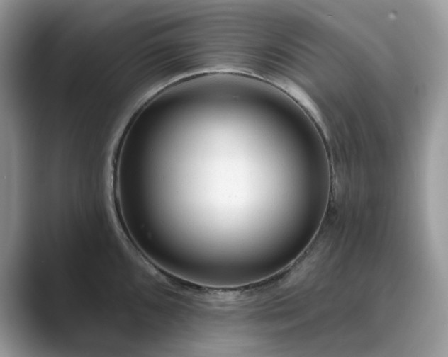 X0000089661096200707051525