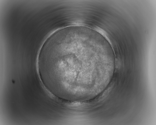 X0000089661098200707051525