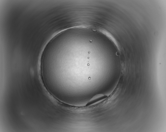 X0000089661099200707051525