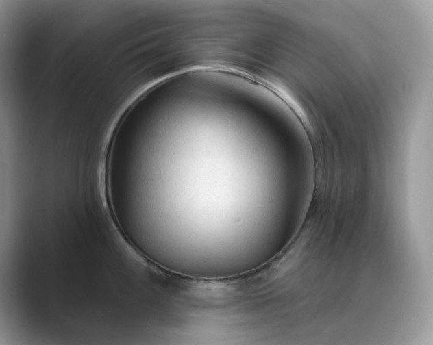 X0000089661100200707051525