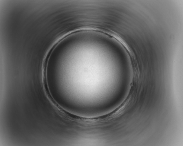 X0000089661101200707051525