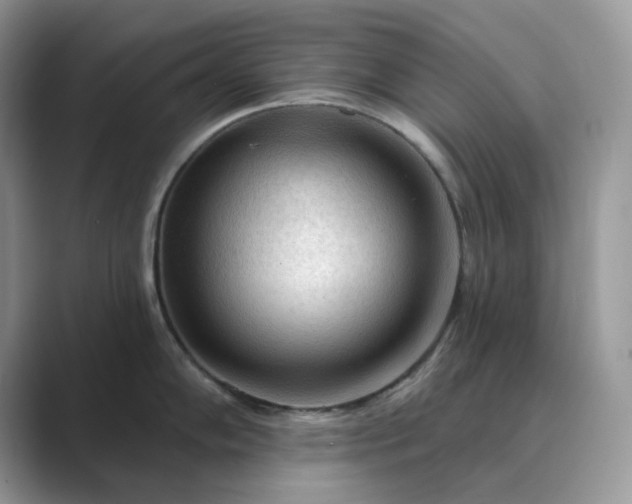 X0000089661102200707051525