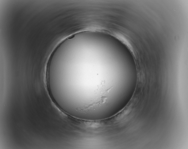 X0000089661103200707051525