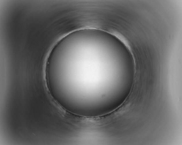 X0000089661104200707051525