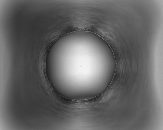 X0000089661105200707051524