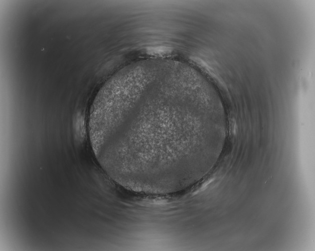 X0000089661106200707051524