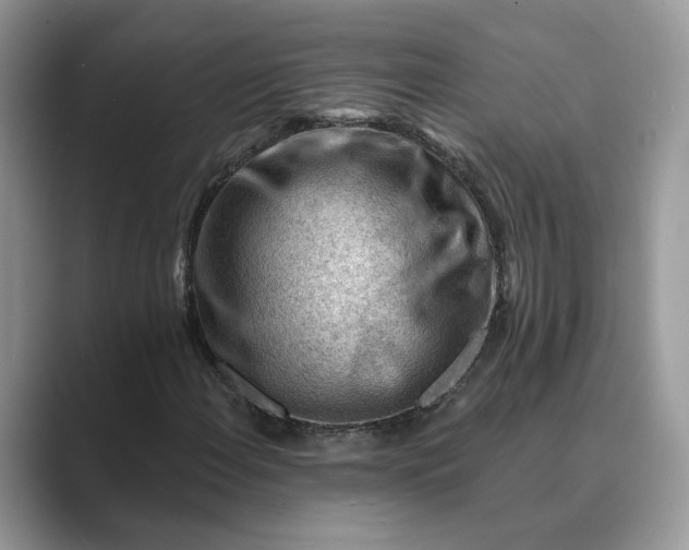 X0000089661108200707051524