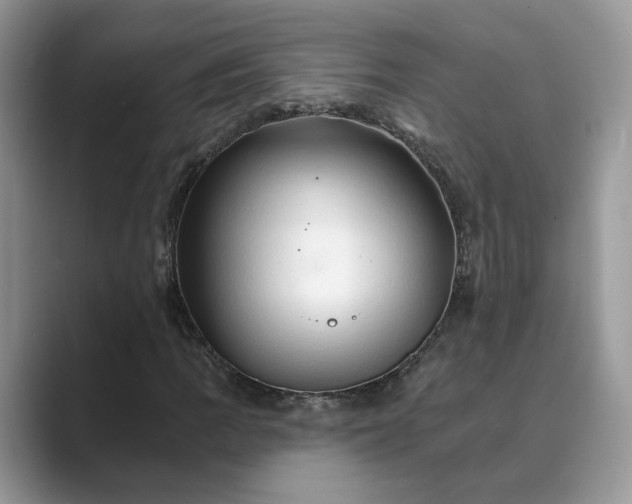 X0000089661109200707051524