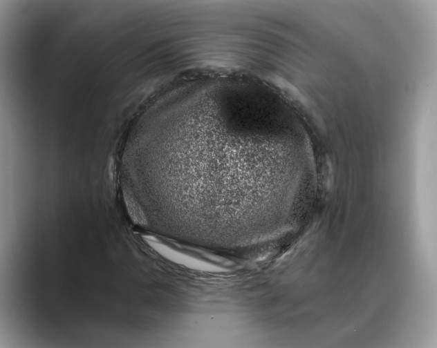 X0000089661110200707051524