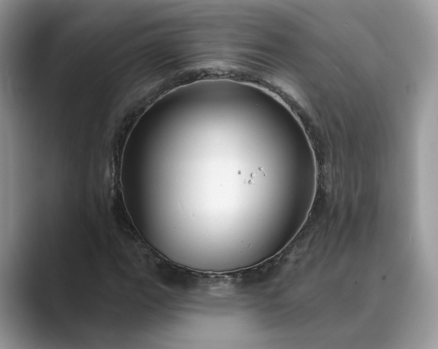 X0000089661111200707051524